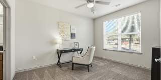Anatole at City View Gallery 14