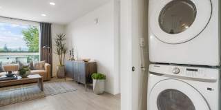 Maxwell at Bascom Maxwell at Bascom Gallery 9