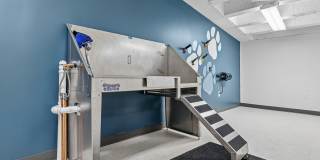 The Treasury Gallery 7