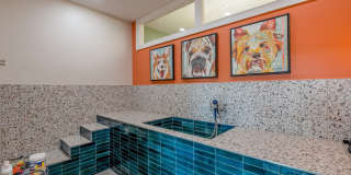 Hilliard Grand Apartments Gallery 18