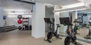 Chestnut Place Gallery 13