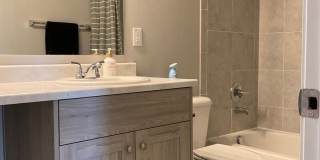 Beautiful Townhome in Townes At Woodmen Heights Gallery 13