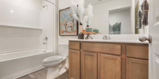 Cottonwood Hollow Gallery 14