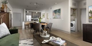 Arcadia Dr. Phillips Arcadia Dr. Phillips Gallery 10