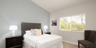 Las Palmas Gallery 14