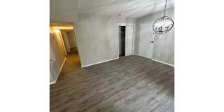 Bellevue Towers Gallery 137