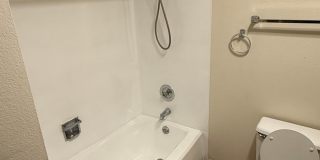 Puyallup 8 Gallery 17