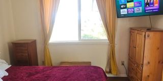 Oceanviews Private 1 bed / 1 bath sep. cottage. "INCL ALL utilities + WIFI internet". Furnished. Gallery 7