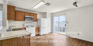 14211 Yellow Warbler Gallery 3