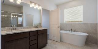 NEW CONSTRUCTION IN MESA DEL SOL Gallery 7