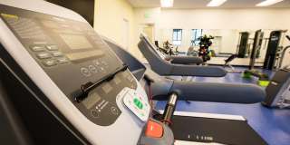 Red Oak at 83 Hanover Street Gallery 24