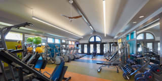 Lakeside Terraces Gallery 21