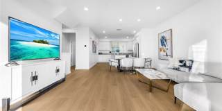 249 Steely Gallery 9