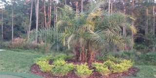 20044 DATE PALM WAY Gallery 31