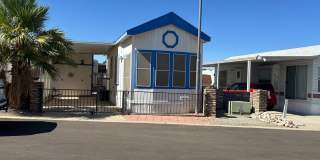 LOS AMIGOS- 55+ Community Gallery 1