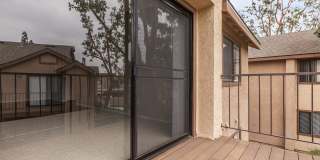 Mountain Springs Gallery 42