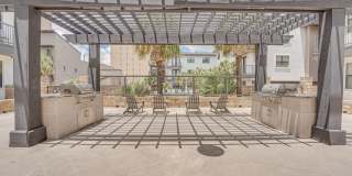 Vue Live Oak Gallery 36