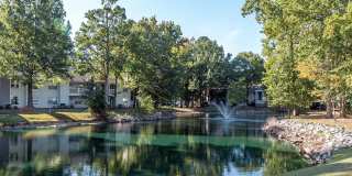 Spring House Apartments Gallery 19