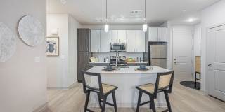 The Tristan Gallery 6