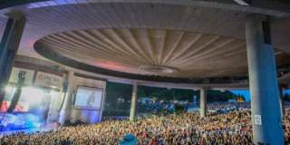 Tree Haven Apartments Gallery 15