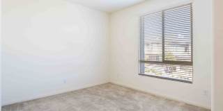 11648 Redwood Mountain Avenue Gallery 11