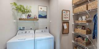 Ovation Apartments Gallery 5