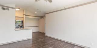 Lakeshore at Preston Gallery 74