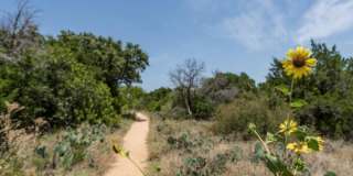 2301 S MoPac Expy, #1102 Gallery 9