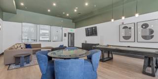 Cortland Belmar Gallery 50