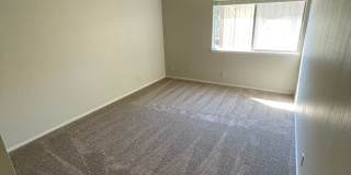 Camellia Manor Apartments Gallery 9