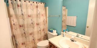 3 BR 2 Bath house in Cul-de-sac in Auburn Gallery 8