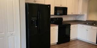 15702 Fishhawk Falls Dr Gallery 8