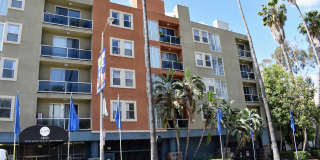 Hollywood Place Gallery 1