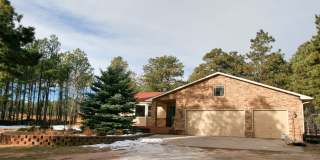 Beautifully Updated Black Forest Rancher on 5 Acres! Gallery 1