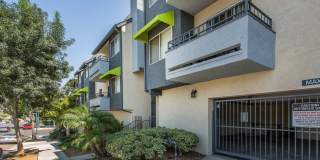 Golden Pacific Gallery 2