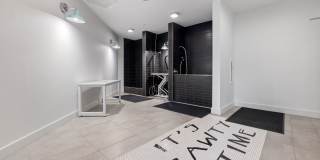 Alta Wren Gallery 34