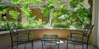 The Piero Gallery 62