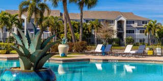 Lexington Palms at the Forum Gallery 28