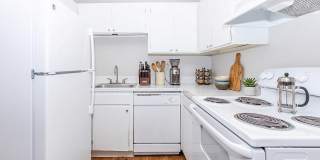 Pikes Place on San Miguel Gallery 3