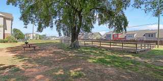 “Spring is in the air! Ask about our one month free specials for April move ins! Gallery 79