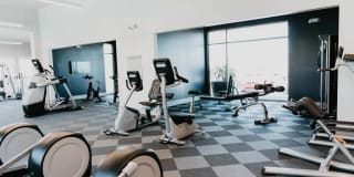 Tanager Tanager Gallery 20