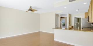 164 Poinciana Drive Gallery 14