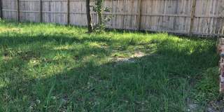 1001 South 8th St, Lillington, NC  27546 Gallery 82