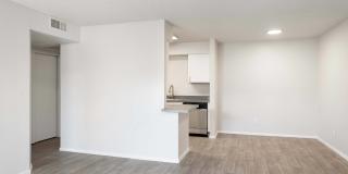 Paseo 51 Gallery 27