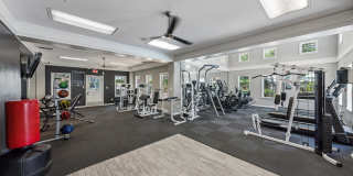 Balmoral Village Gallery 26