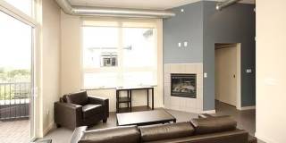 The Elysian Gallery 576