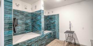 Avasa Spring Branch Gallery 10