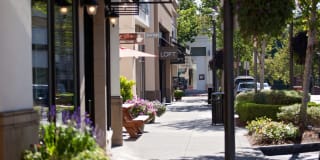 Lionsgate South Gallery 44