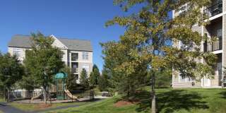 Prynne Hills Gallery 12