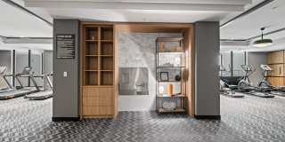 Aster & Links Gallery 64